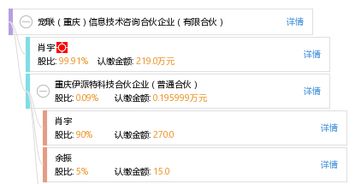 宠联（重庆）信息技术咨询合伙企业 专业信息技术服务助力企业数字化转型