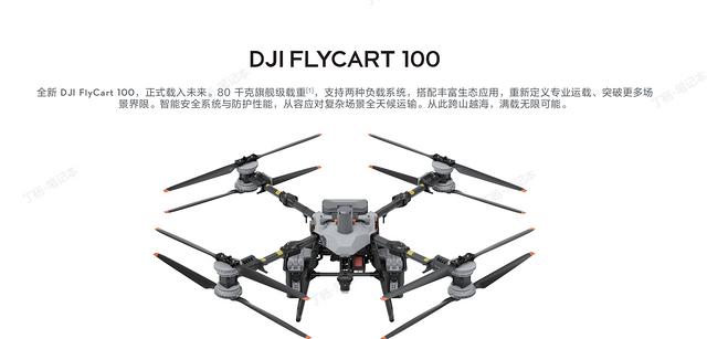 大疆机巢价格解析与运载机FC30配置概述，兼谈信息技术咨询服务