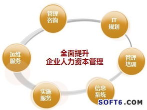 技术重塑管理 用友HCM博弈人力资源管理软件市场